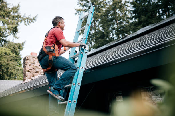 Best Skylight Installation and Repair  in Orinda, CA
